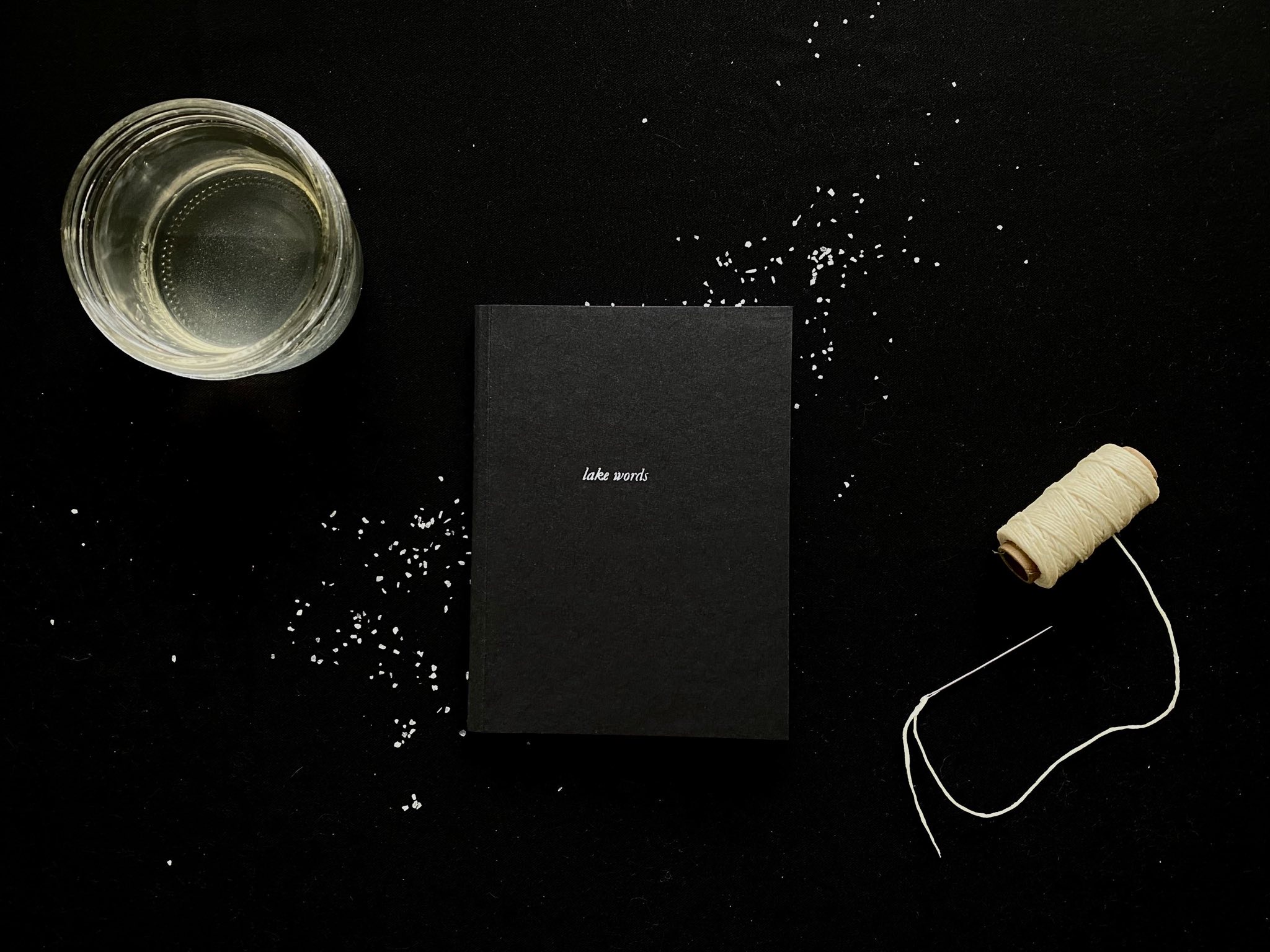 lake words book cover